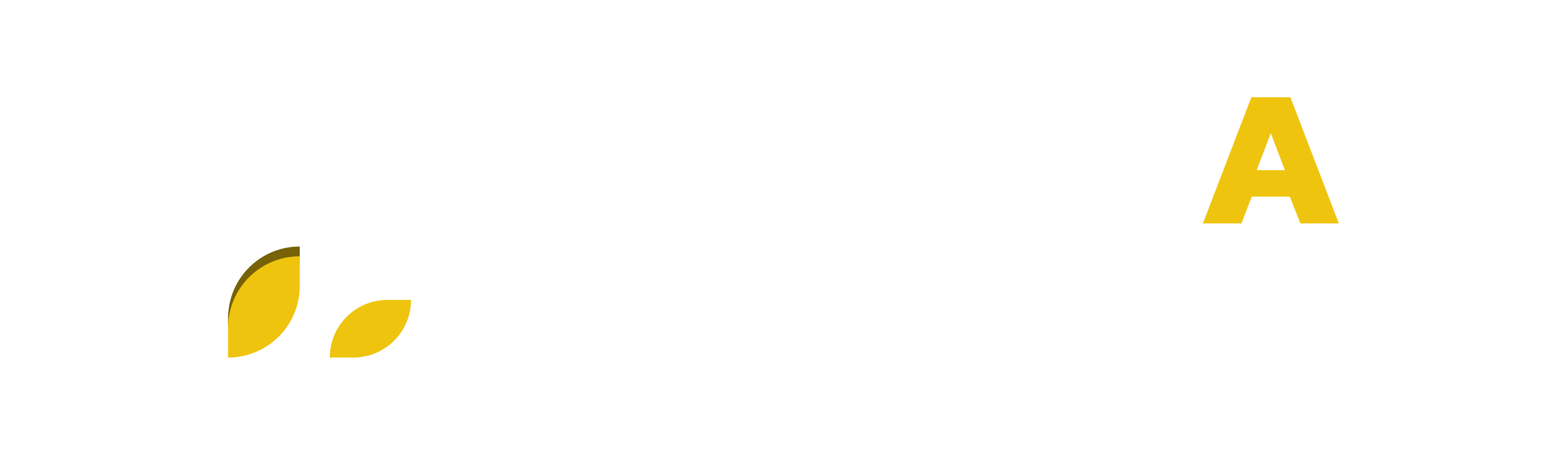 POOLA Pool Villa