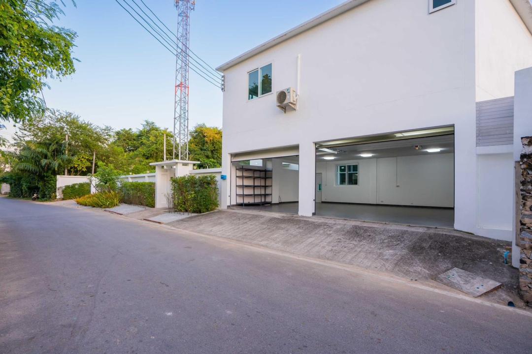 Lion King - Cover Photo