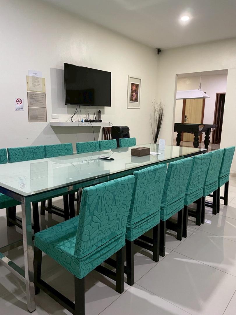 Ty Holiday #217 - Cover Photo