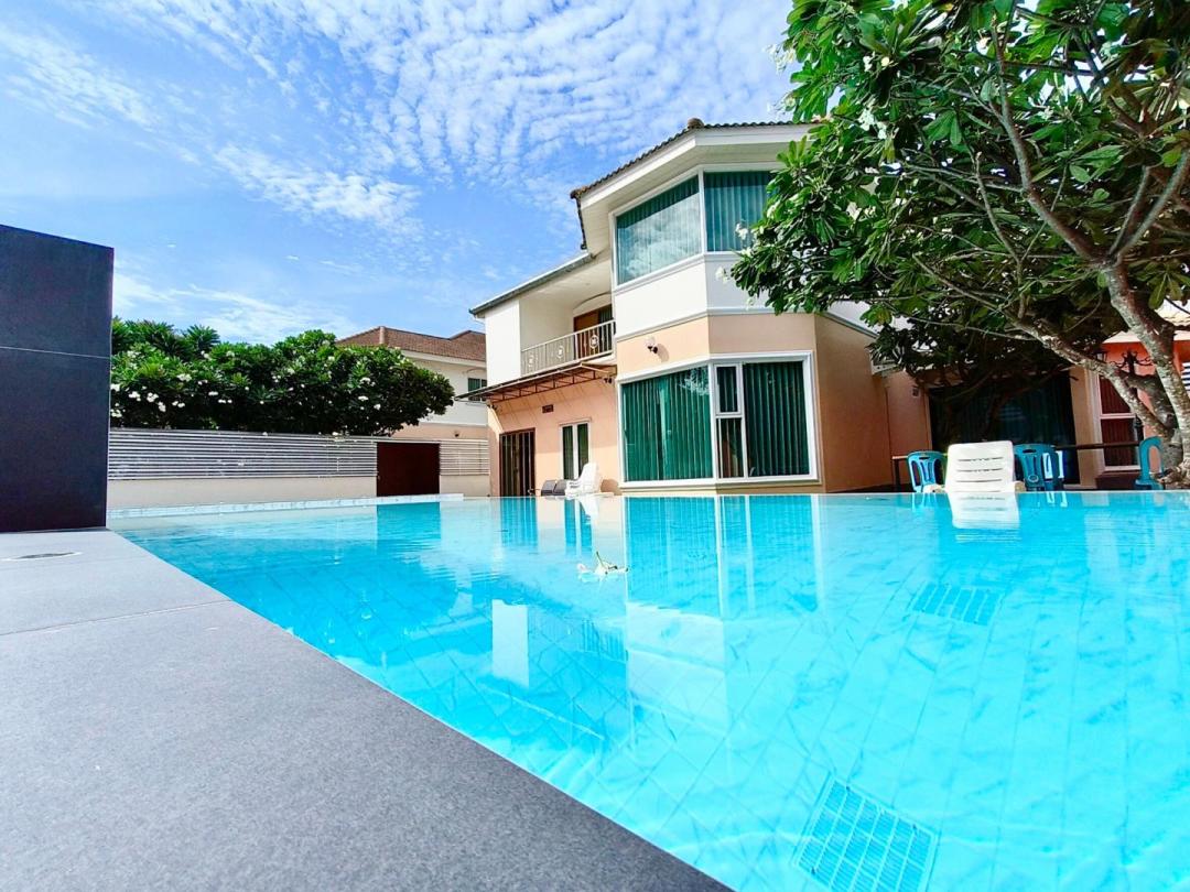 Ty Holiday #229 - Cover Photo