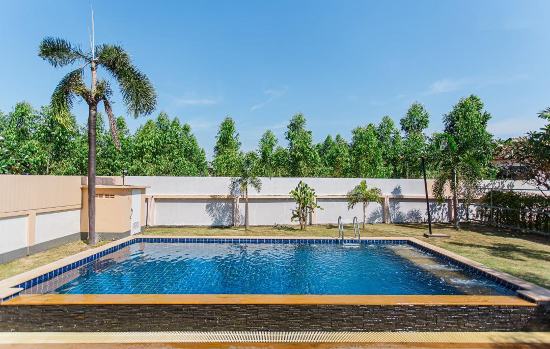 Ty Holiday #232 - Cover Photo